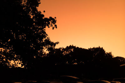 Low angle view of silhouette trees against sky during sunset