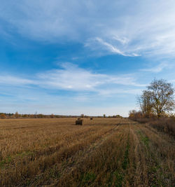 Scenic view of agricultural field against sky