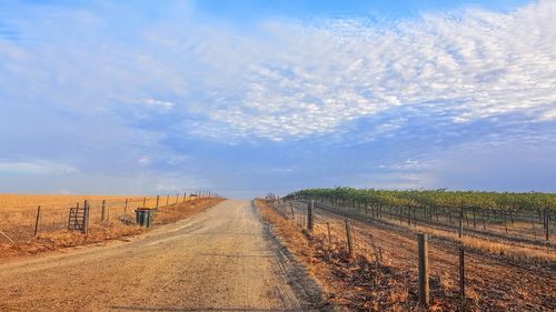 Dirt road amidst agricultural field against sky