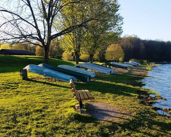 Empty benches in park against clear sky