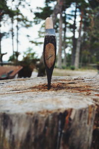 Close-up of wood