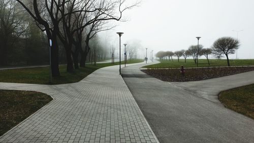 Surface level of footpath in park