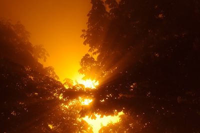 Low angle view of silhouette trees against sky during sunset