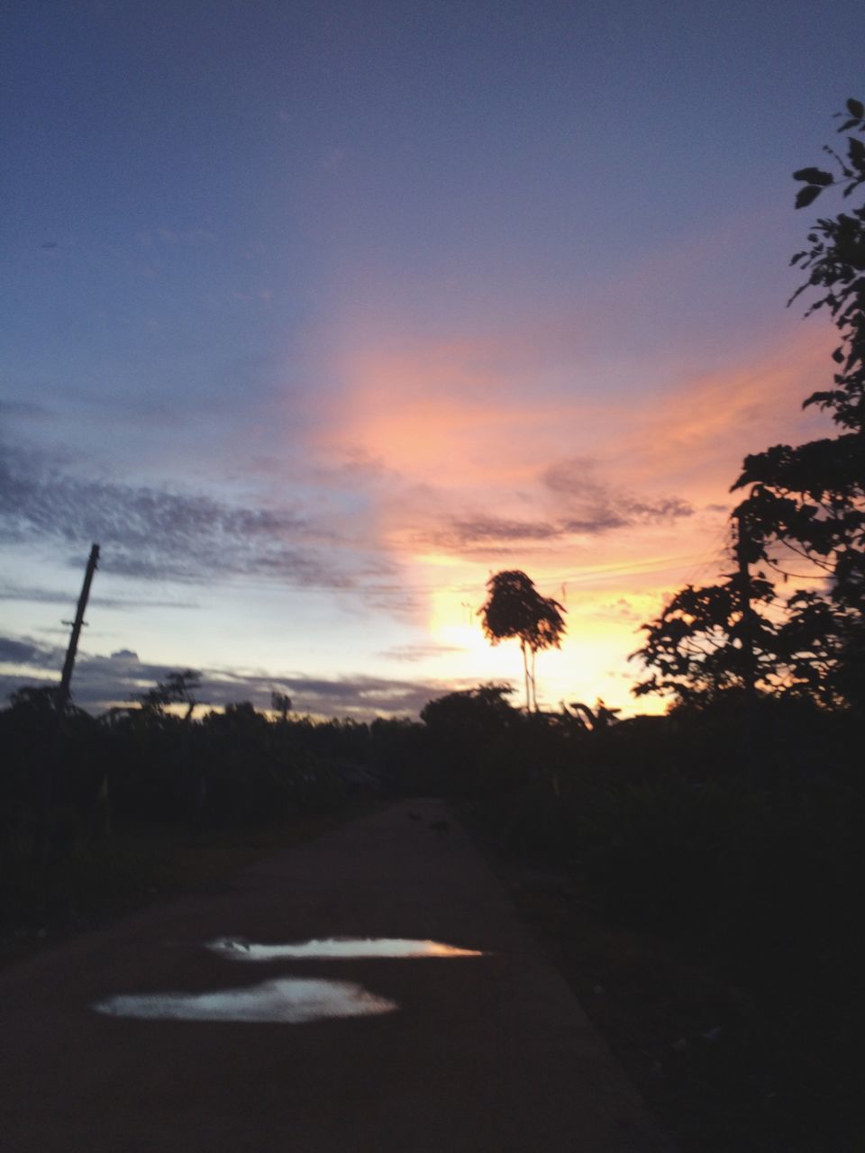 road, sunset, the way forward, sky, transportation, road marking, tree, silhouette, cloud - sky, diminishing perspective, tranquility, beauty in nature, country road, nature, tranquil scene, landscape, scenics, cloud, vanishing point, street