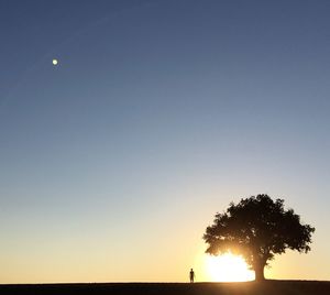 Lone tree on silhouette landscape against clear sky