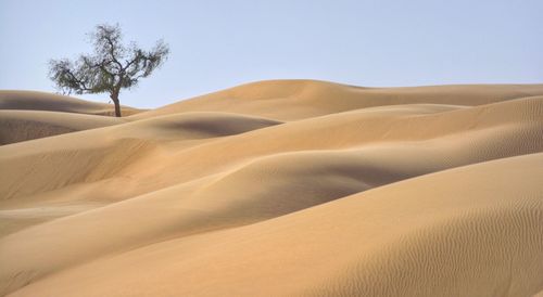 Scenic view of desert against clear sky