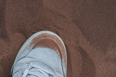 Low section of man standing on sand