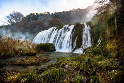 Scenic view of waterfall in forest