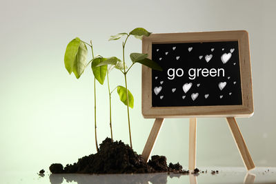 Close-up of blackboard and plants against green background