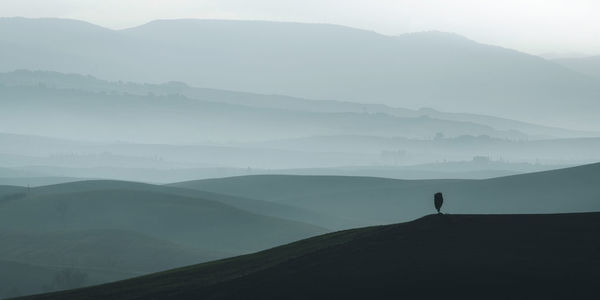 Misty sunrise in tuscany with lone tree