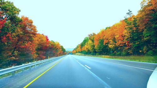 Empty road along trees during autumn