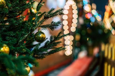 Close-up of christmas tree at night