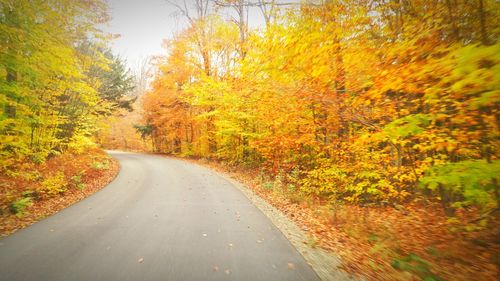 Road amidst trees during autumn