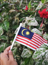 Cropped hand holding flag against plants