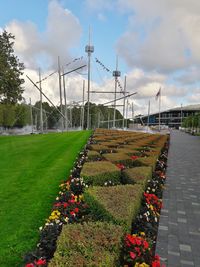 View of flowering plants in park against cloudy sky