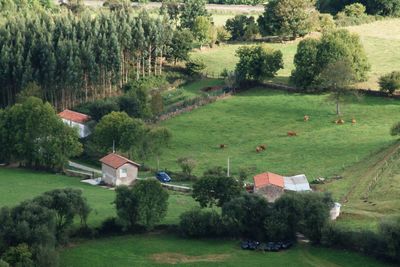 High angle view of houses on field