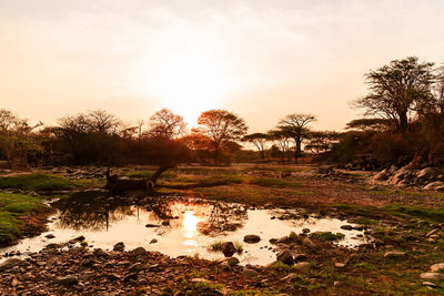 Scenic view of lake against sky during sunset