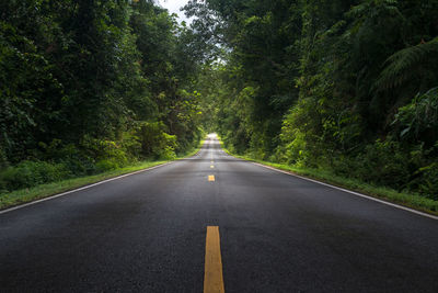 Empty road amidst trees