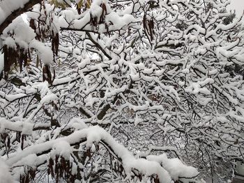 View of snow on field during winter