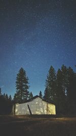 Trees against sky at night