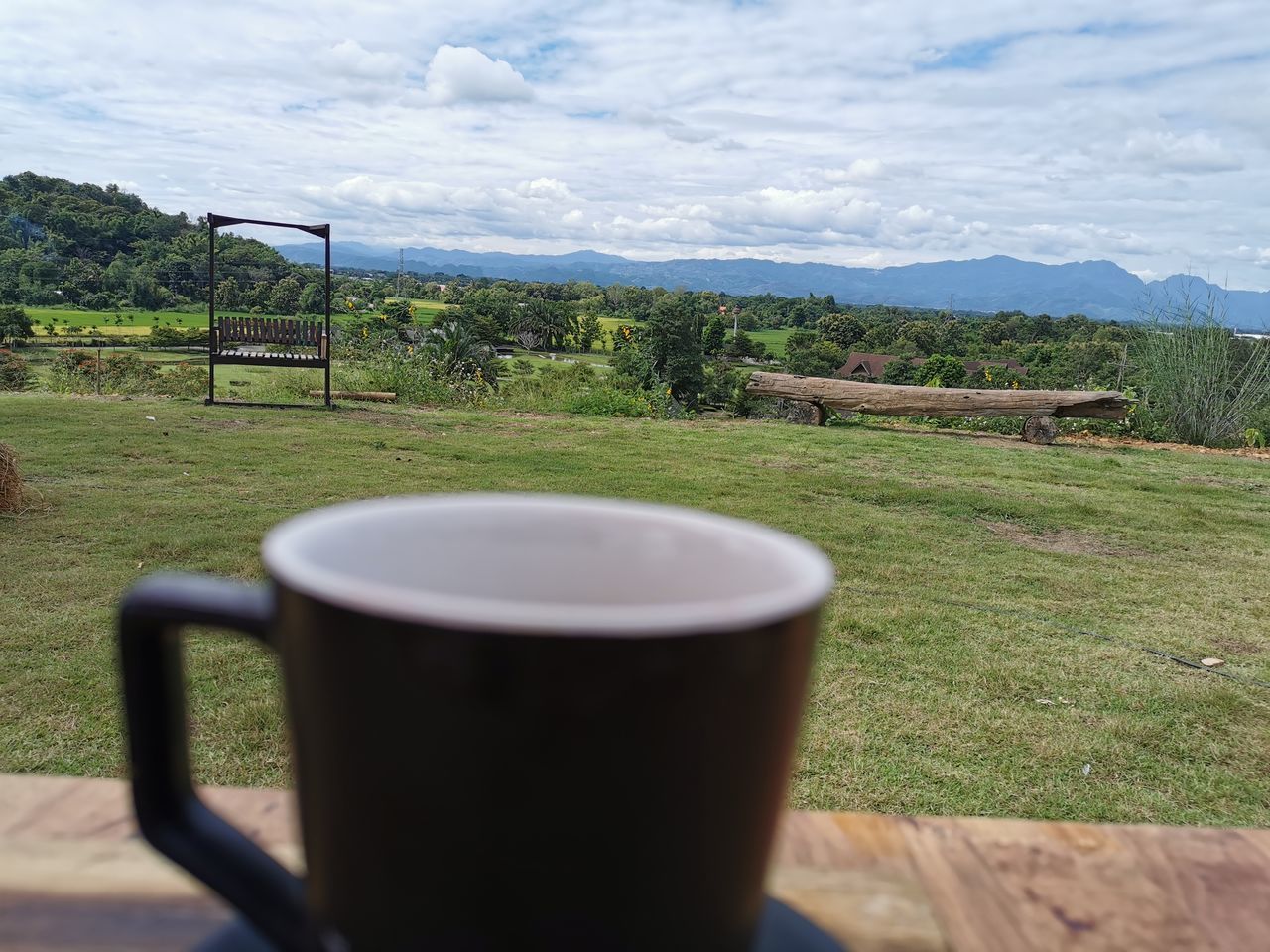 VIEW OF TEA CUP ON TABLE