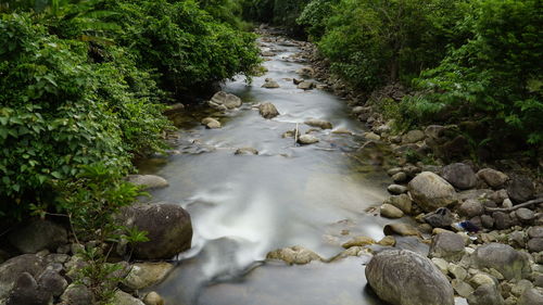 Stream flowing through rocks in forest