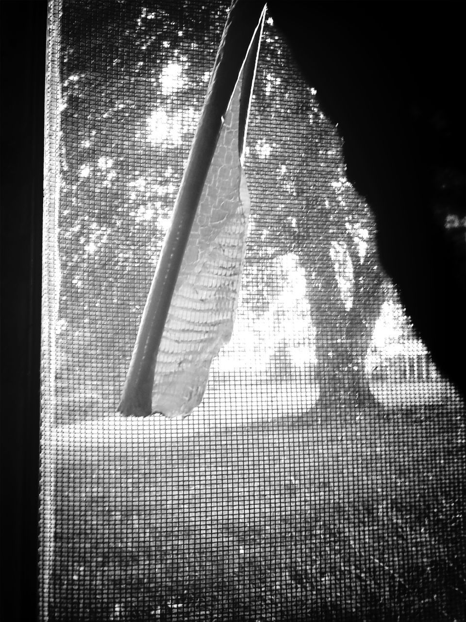 indoors, shadow, pattern, sunlight, absence, high angle view, close-up, empty, no people, diminishing perspective, the way forward, wall - building feature, day, metal, in a row, illuminated, hanging, auto post production filter, still life