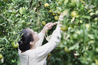 Rear view of woman holding apple
