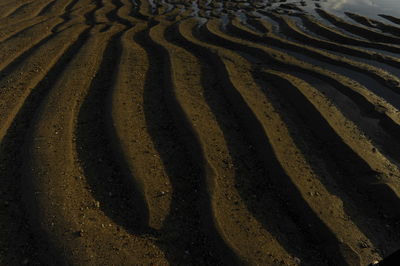 High angle view of shadow on sand