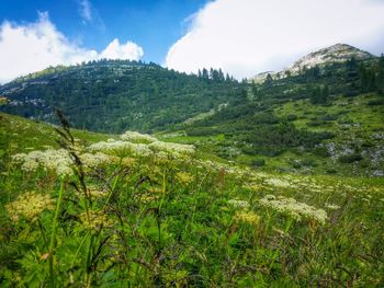 Scenic view of mountains against sky