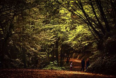 People walking on footpath