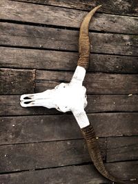 High angle view of umbrella on wood