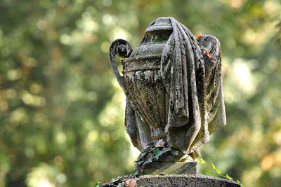 Close-up of statue against blurred background