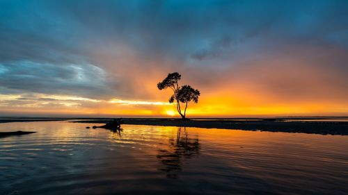 Silhouette trees by sea against sky during sunset