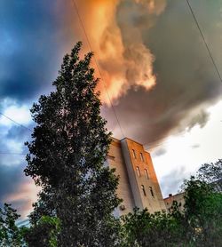 Low angle view of tree against sky