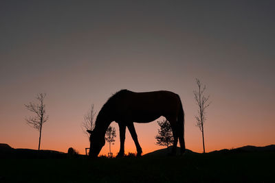 silhouette