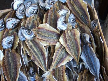 Close-up of fish for sale in market