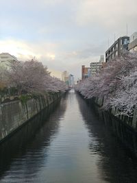 Canal amidst buildings against sky in city