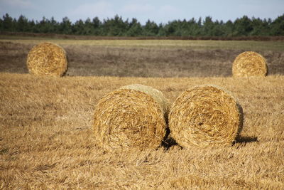 Hay bales on field against sky