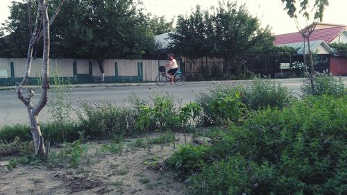 People riding bicycle by trees against sky