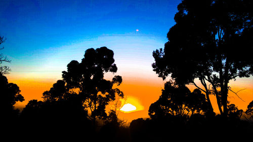 Silhouette of trees against sky at sunset