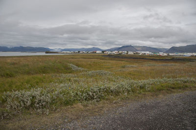 Scenic view of grassy field against cloudy sky