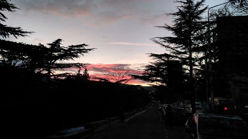 Silhouette trees against sky at sunset