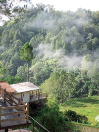 Scenic view of forest