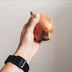 Close-up of hand holding onion