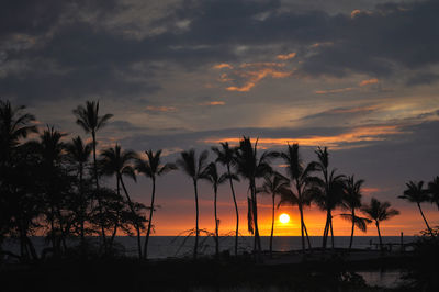 Silhouette palm trees against calm sea at sunset