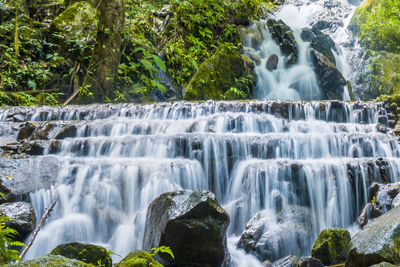 Low angle view of waterfall in forest