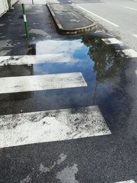High angle view of puddle on road