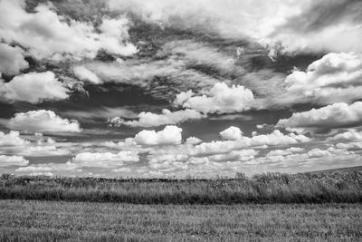 Scenic view of field against sky