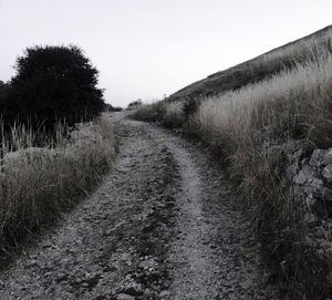 Dirt road amidst trees against clear sky